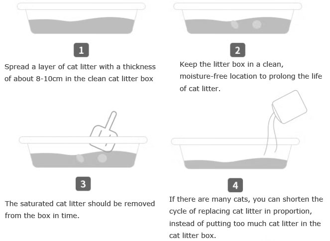 How to use cat litter