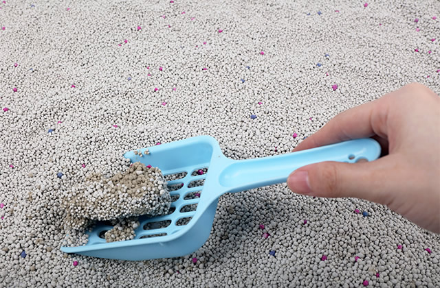 Ways to clean cat litter